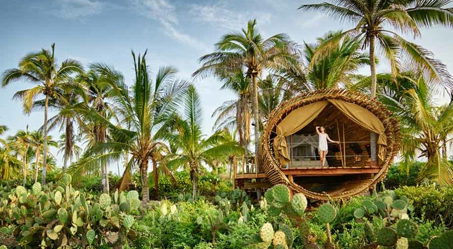 Playa Viva, el viaje de tu vida a la naturaleza de México