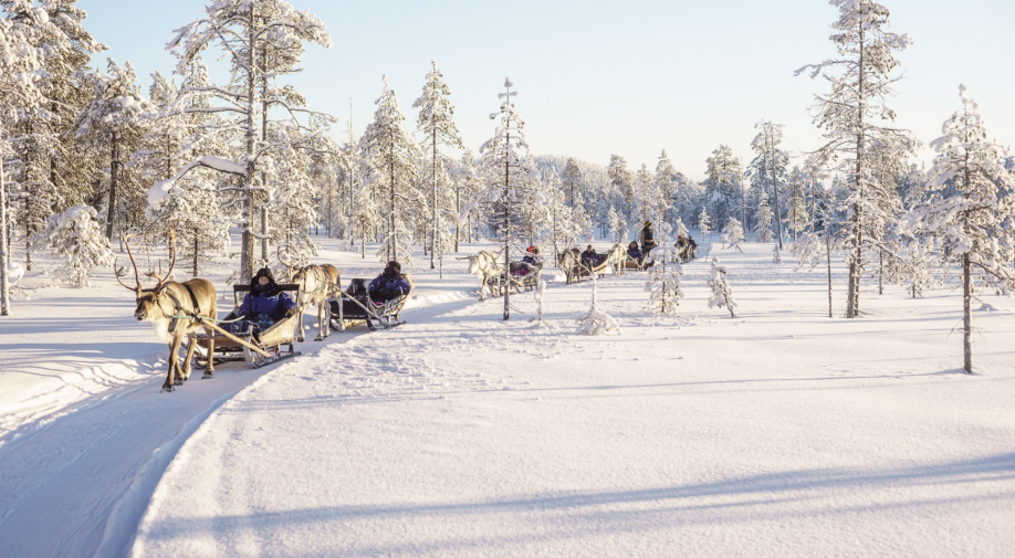 Navidad en Laponia: nunca es pronto para prepararla